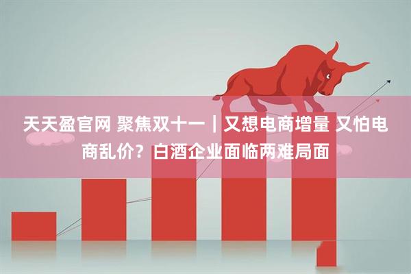 天天盈官网 聚焦双十一｜又想电商增量 又怕电商乱价？白酒企业面临两难局面
