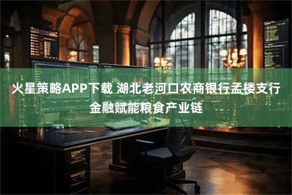 火星策略APP下载 湖北老河口农商银行孟楼支行金融赋能粮食产业链
