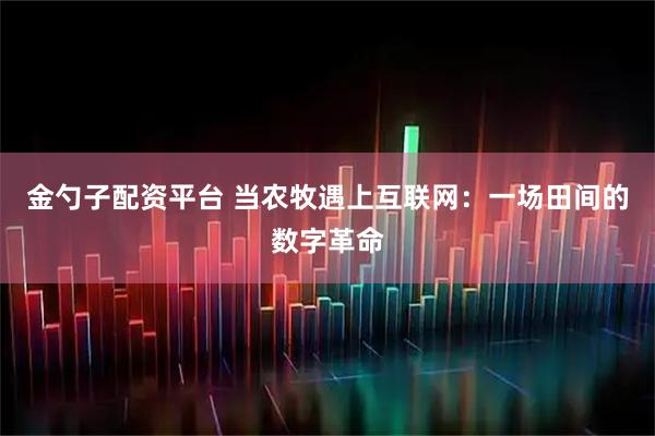 金勺子配资平台 当农牧遇上互联网：一场田间的数字革命